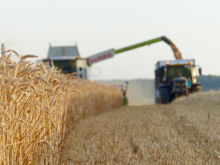 Les stocks de blé sont prévus à un niveau record de 283 Mt fin 2020-2021.