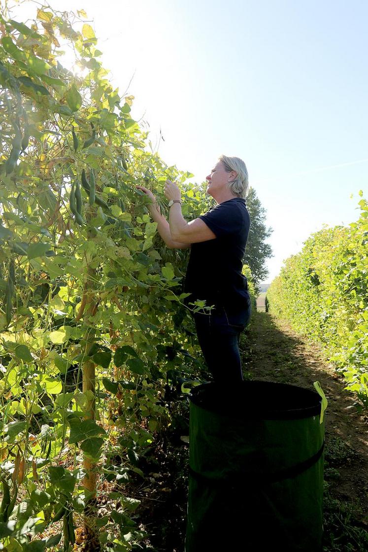 Les producteurs, dont Géraldine Toupet cherchent toujours de nouvelles idées de dégustation de leurs haricots de Soissons.
