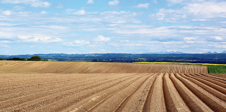L’inscription des terres au bilan d’exploitation peut-être un atout fiscal, à ne pas négliger.