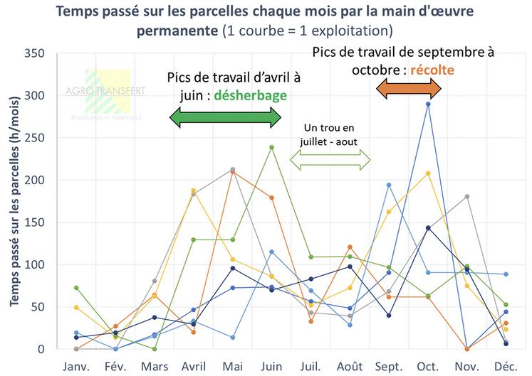 Temps passé sur les parcelles chaque mois par la main-d’œuvre permanente (exploitant et salariés).