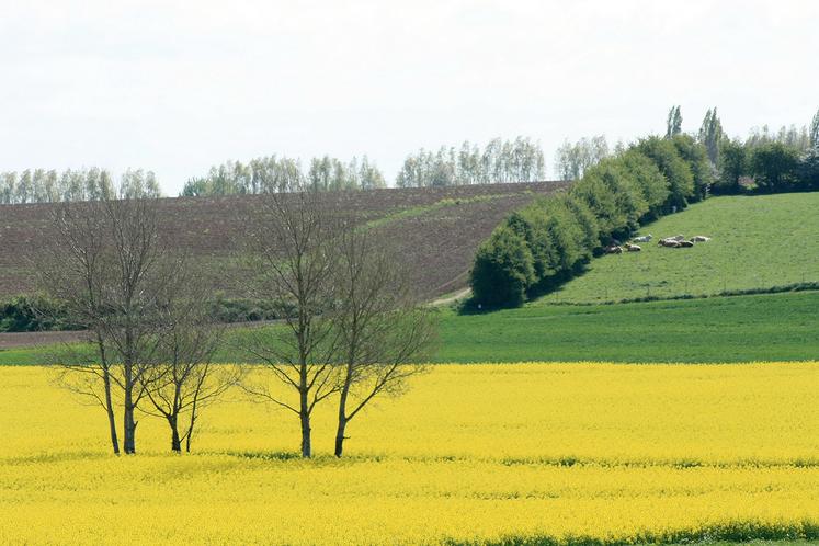 La Commission estime que la croissance de la productivité est la clé du maintien de la compétitivité et de l’augmentation des revenus agricoles, tout en tenant dûment compte de l’impact positif sur l’environnement et le climat. 