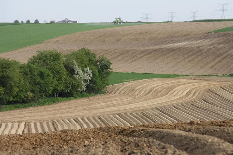 Avant de choisir sa stratégie de désherbage, il est essentiel de connaître le sol et la flore à venir de sa parcelle.