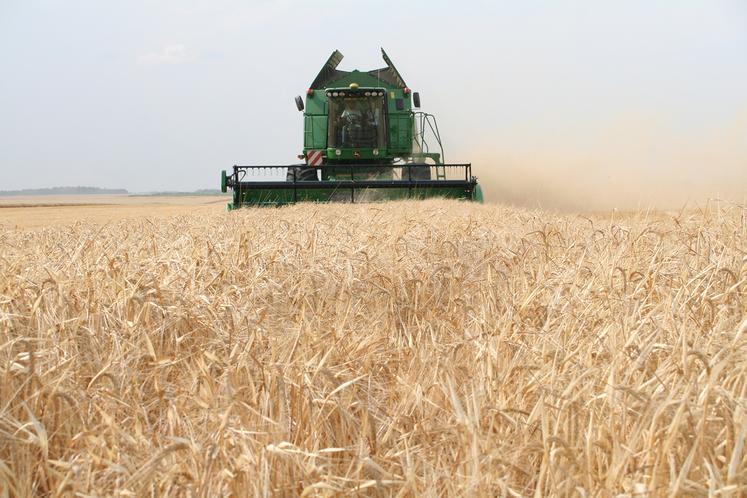 Point fort et point faible sur l’agriculture samarienne sont compilés dans le projet agricole départemental.