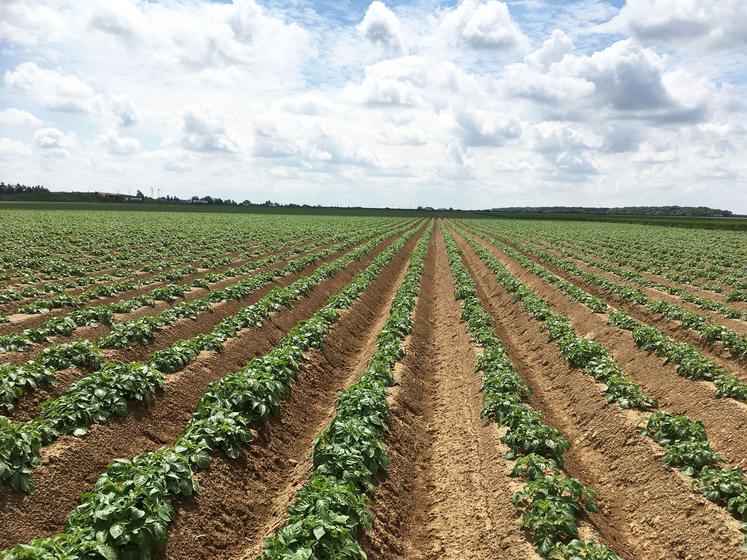 Ces dernières années, notre département a traversé des météos très contrastées, il est donc important d’observer les rendements sur plusieurs années. 