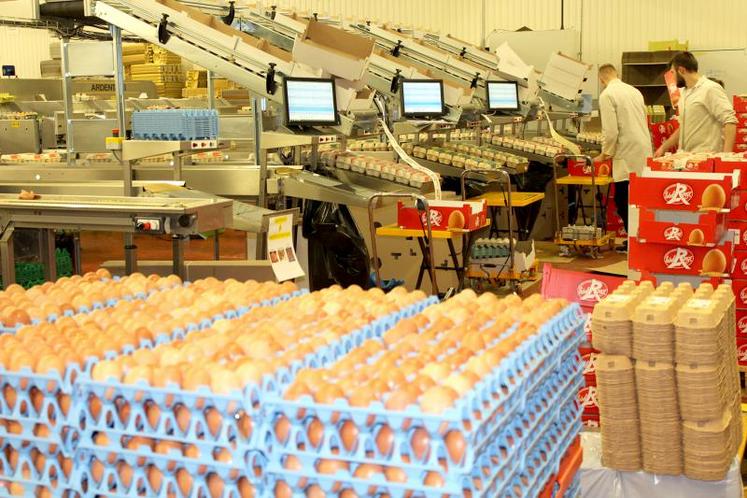 Sur plus de 850 millions d’œufs commercialisés par Cocorette, 500 millions sont conditionnés sur le site de Doullens (80), 
le vaisseau amiral du groupe, acquis en 2010. 