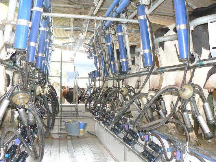 396 €/1 000 litres, pour les exploitations laitières conventionnelles de plaine en 2016. 410 €/1 000 litres 
pour les exploitations de montagne (hors AOP). 539 €/1 000 litres pour les exploitations bio.