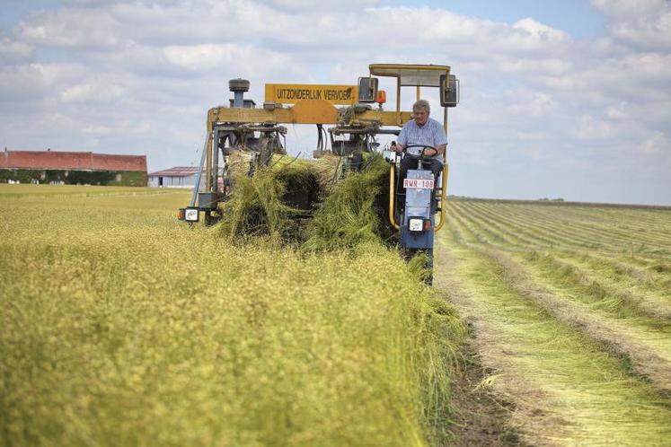 Les arrachages de lin ont débuté le 22 juin et devraient se terminer vers le 20 juillet si les conditions météos restent 
au beau fixe.