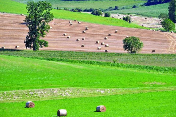Ne pas oublier de déposer la demande de dégrèvement d’impôt sur le foncier non bâti.