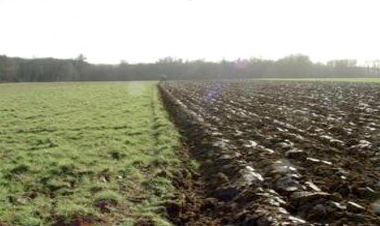 Le retournement d'une parcelle en nature de pré est soumis à notification au bailleur, celui-ci peut s'y opposer dans les quinze jours devant le TPBR.