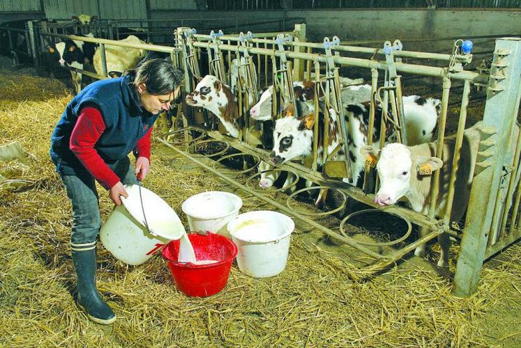 Si créer une entreprise agricole dans le contexte actuel paraît périlleux, il y a encore de belles opportunités.