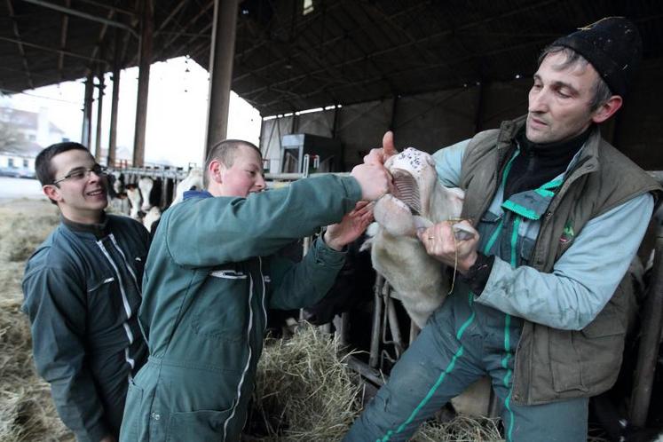 Les formations agricoles sont nombreuses dans la région et offrent des débouchés très diverses.