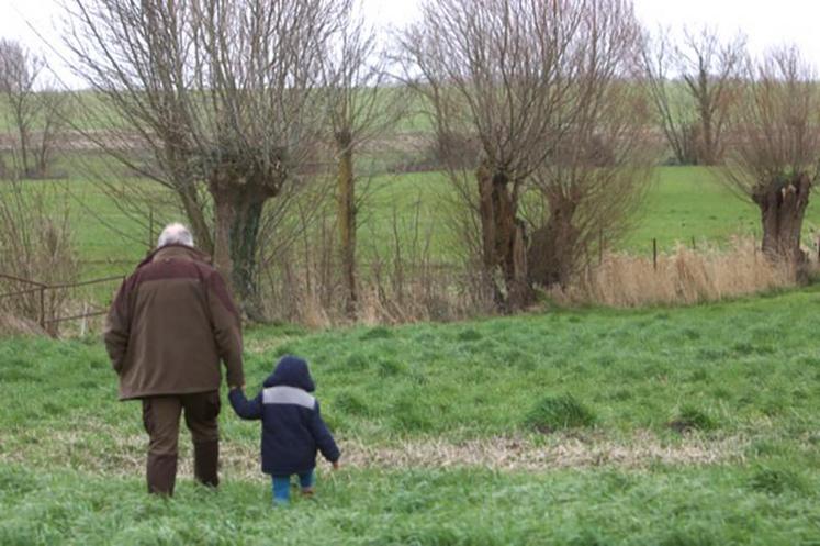 Parfois oubliés ou mal considérés, les arbres à trogne sont en fait des éléments majeurs du bocage pour leurs utilisations multiples et la biodiversité qu’ils abritent.