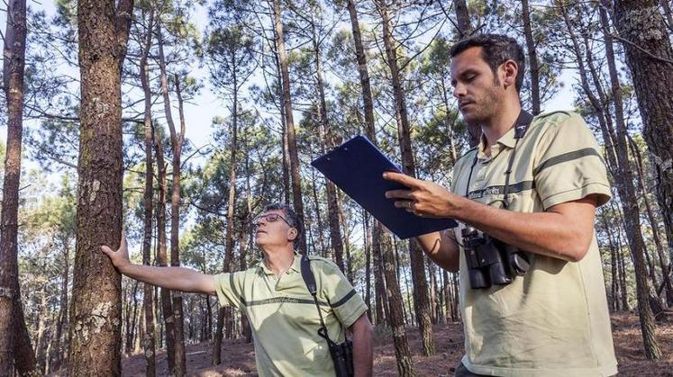 Bercy considérerait que le travail réalisé par les équipes de l’ONF coûterait trop cher, d'où une tentation d'en confier une partie à des prestataires privés.