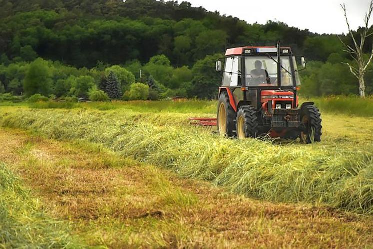 Le changement de régime sur la gestion des prairies pourrait tenter certains agriculteurs à ne plus les consacrer à la seule production de fourrage.