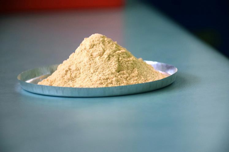 La farine de pois contient 25 % de protéine.