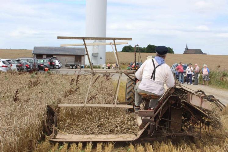 Hubert Herbaux aux commandes de la lieuse fait revivre une récolte à l'ancienne.