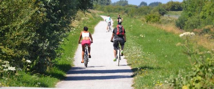 Piste cyclable en Baie de Somme.