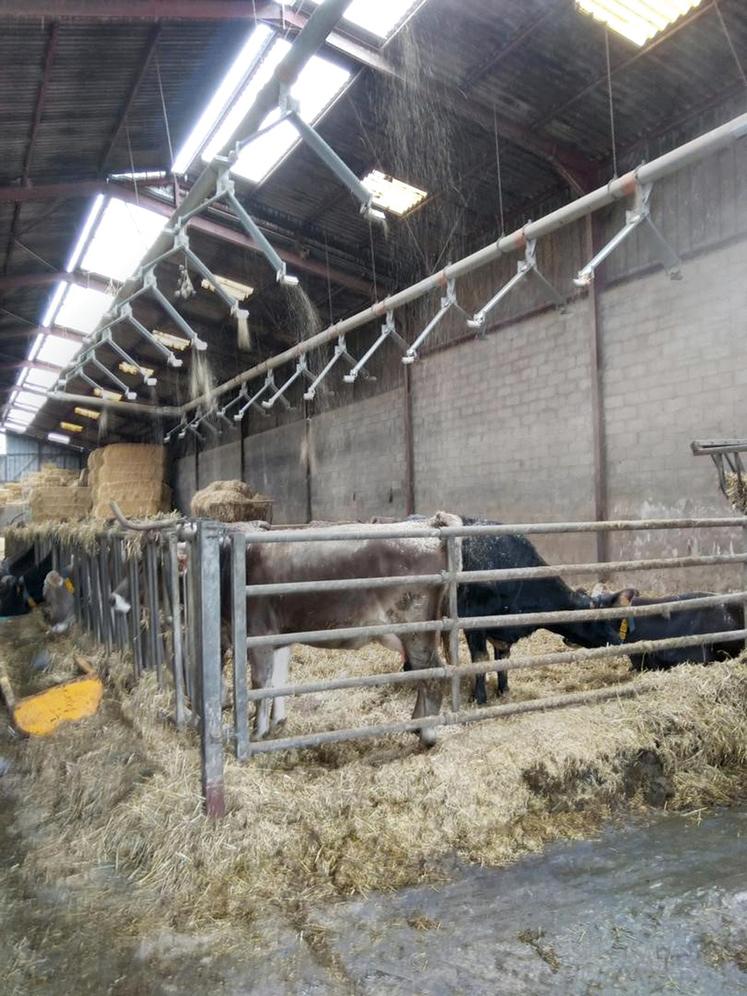 Jean-Louis Billon a installé il y a dix-huit mois deux robots de traite Delaval,  le modèle 310. Ils permettent à l’exploitation d’optimiser le temps de travail. 