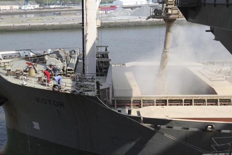 Les exportations de blé ont atteint 3,784 millions de tonnes, surtout vers l’Algérie (2,292 Mt) et, dans une moindre 
mesure, vers le Maroc, Cuba et l’Arabie saoudite.