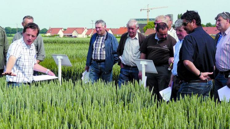 Des essais pour conseiller les meilleures solutions à chacun des agriculteurs.