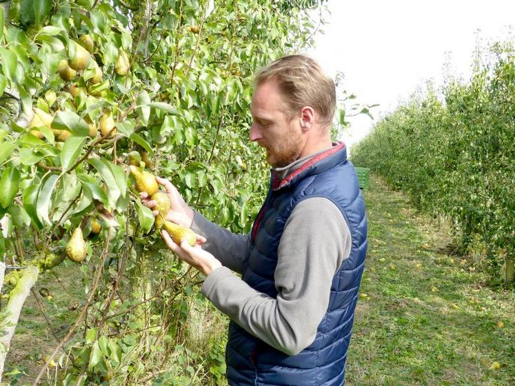 La surveillance est d’autant plus pointue en gestion écoresponsable du verger.