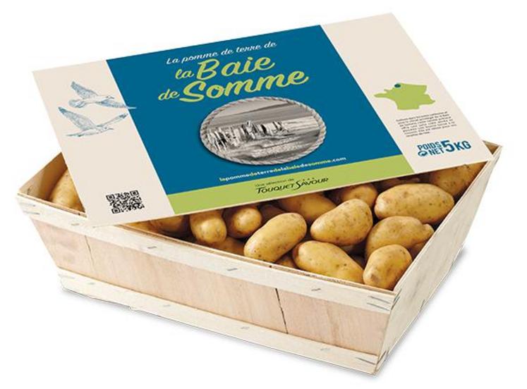 Après trois années d’expérience, Henri Poupart maîtrise la culture de la pomme de terre nouvelle de la Baie de Somme dans ses terres sableuses. Il en a produit 6 ha cette année.