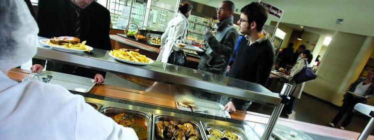 En 2013, près de six restaurants collectifs sur dix servaient des produits bio dans leurs menus.