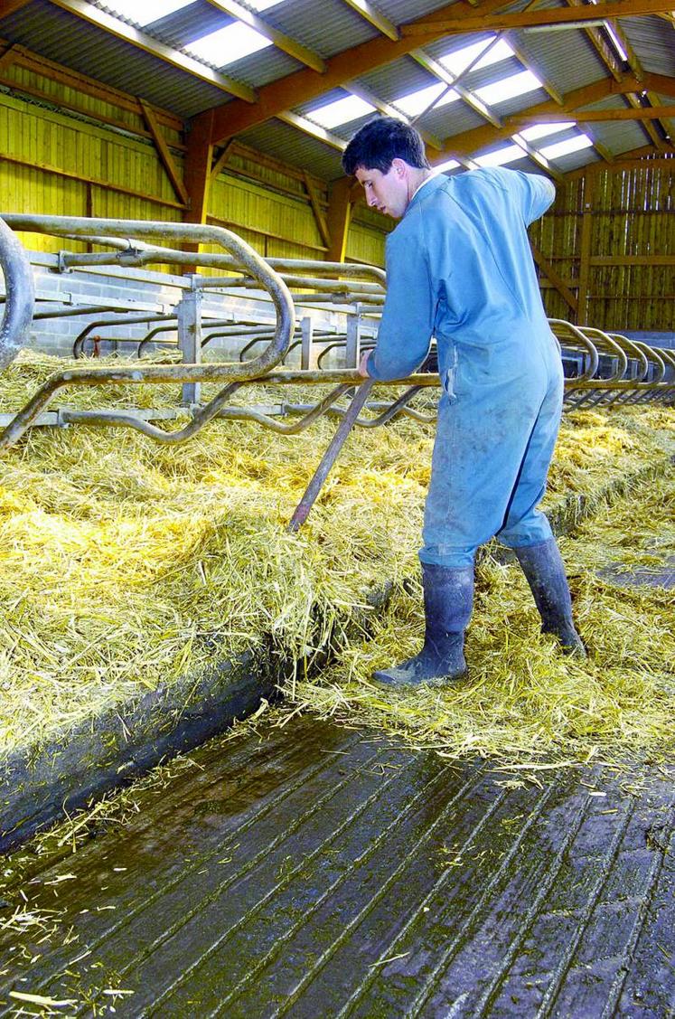 En améliorant le raclage paillage, un éleveur peut gagner 15 minutes par jour, soit près de 4 jours par an.