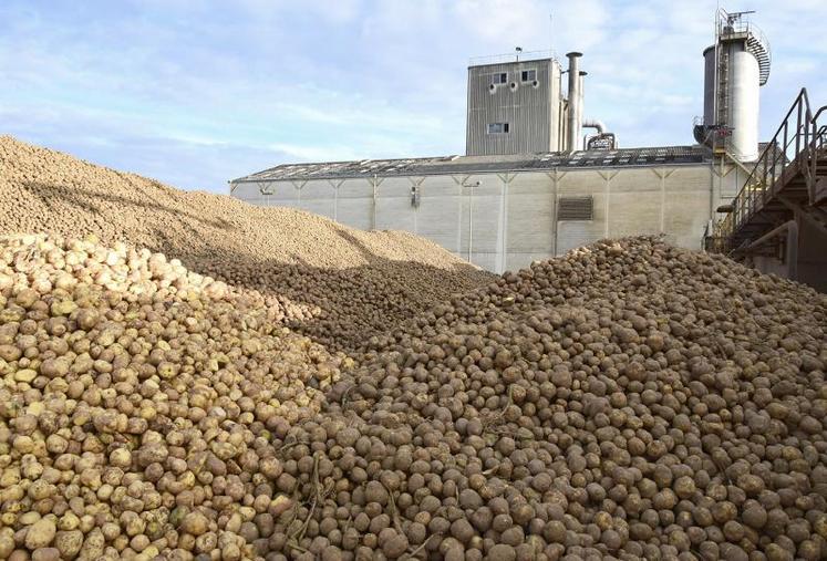 Pour adhérer à la coopérative, l’engagement est d’une durée minimum de trois ans. Le montant de l’adhésion se calcule par tranche de 10 tonnes d’engagement (10 €), sur la base de 50 tonnes de rendement par hectare.