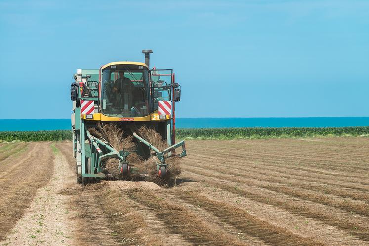L’écapsulage, après arrachage, reste la méthode la plus utilisée. 