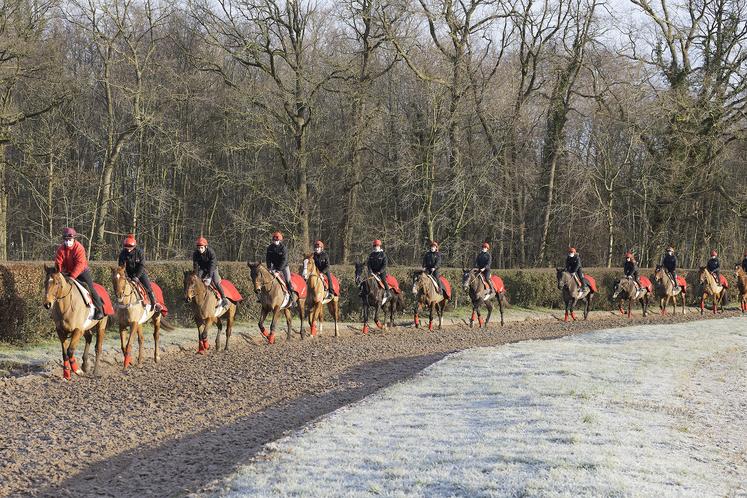Les élèves montent à cheval au moins une fois par semaine. L’établissement accueille 150 jeunes et 22 chevaux.