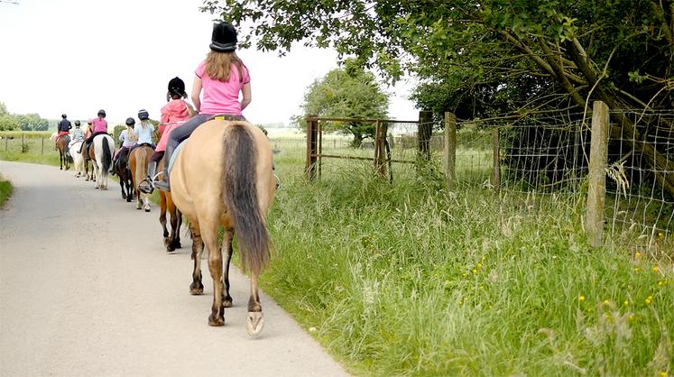 Le centre équestre et la restauration ne font qu’un. Pourquoi pas une balade à cheval après un bon repas ? 