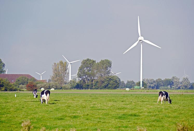 Les connaissances scientifiques concernant l’impact des champs électromagnétiques sur la santé des animaux d’élevage doivent largement être approfondies.