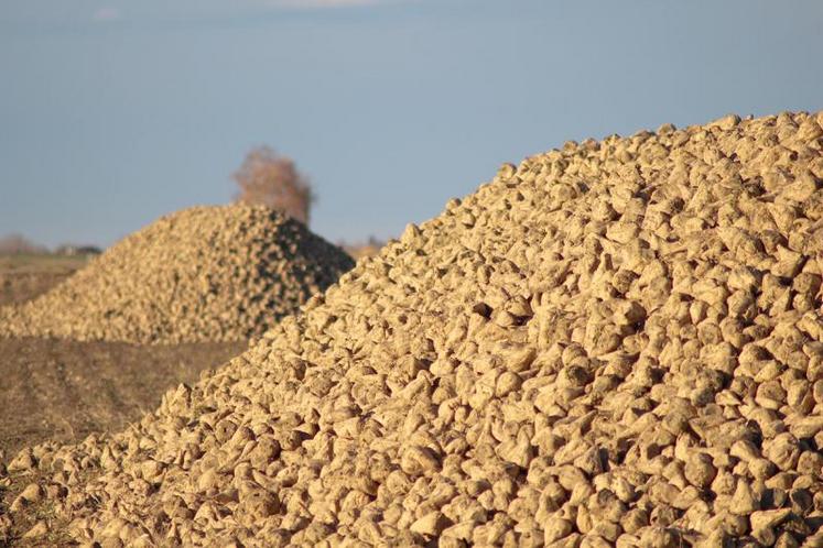 La CGB présente son projet coopératif alternatif aux planteurs ce lundi 27 mai, à 14h30, à la salle des fêtes d’Eppeville.