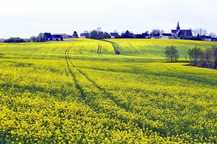 La faible récolte de colza à l’été 2015 dans l’Union européenne, en parallèle d’une production mondiale de soja record, a provoqué inévitablement la hausse des cours.