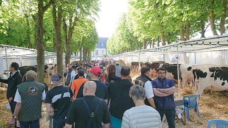 L’annulation de la foire de Montdidier marque une interruption dans l’organisation du concours départemental 
de la race Prim’Holstein qui aurait du fêter sa 7e édition.