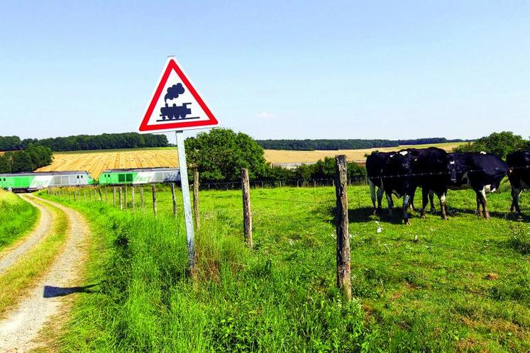 Pour suivre les évolutions du Code de la route de nombreuses opportunités existent aujourd’hui.