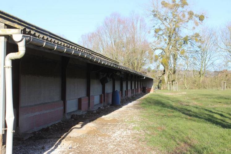 La création d’un atelier de volailles de chair bio trouve aussi bien sa place dans des bâtiments neufs que dans des espaces en reconversion.