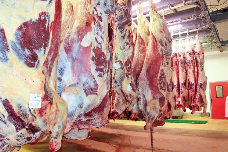 L’accord prévoit un contingent à taxe nulle de 70 000 tonnes de viande bovine venant des pays du Mercosur, une offre officielle déjà importante.