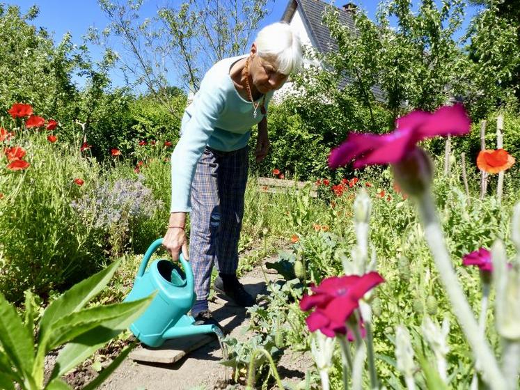 Le potager traditionnel picard de Patricia Auvray est avant tout «un réservoir de biodiversité». Les fleurs se mêlent subtilement aux légumes