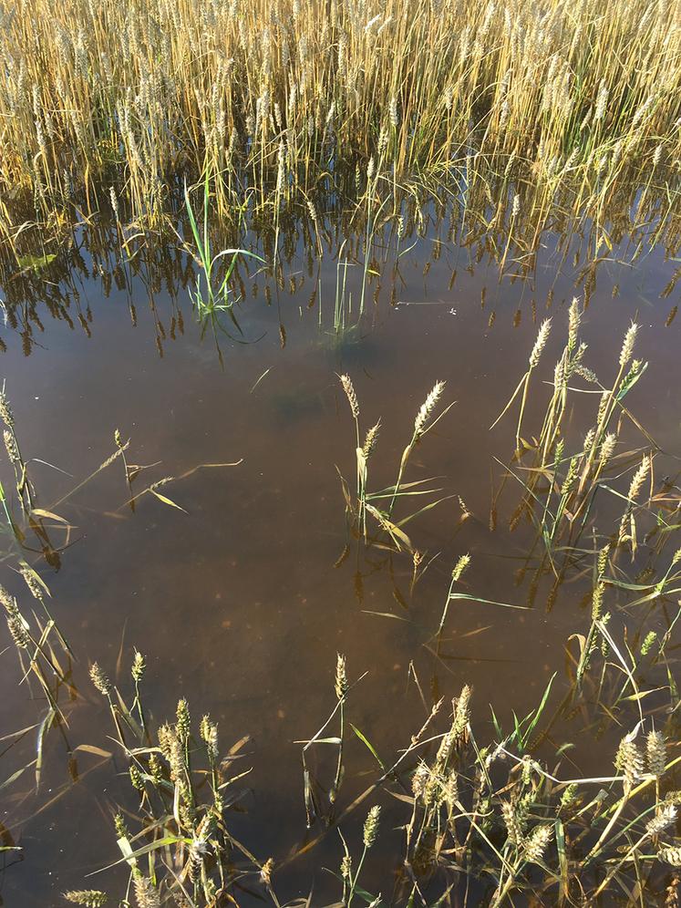 Selon le projet de loi, la couverture des risques climatiques s’effectuera selon trois niveaux, du courant à l’exceptionnel en passant par le significatif.