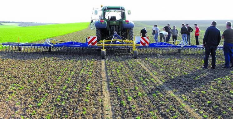 Herse etrille Treffler.