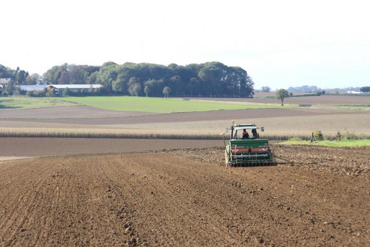 Quatre marchés existent aujourd’hui sur le foncier, rappelle la FNSafer : le marché immobilier, le marché de la transaction de parts sociales, encore balbutiant il y a dix ans, le marché des locations, et le marché du travail à façon.