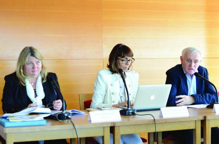Présentation de l'avis du Cese sur la justice climatique. De gauche à droite : Agnès Michelot, Anne-Marie Ducroux (présidente de la section Environnement du Cese) et Jean Jouzel.