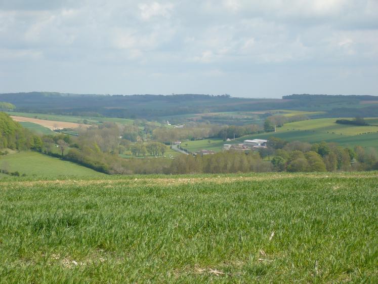 C’est dans les départements les moins boisés de la région que les prix des bois et forêts sont les plus élevés. 