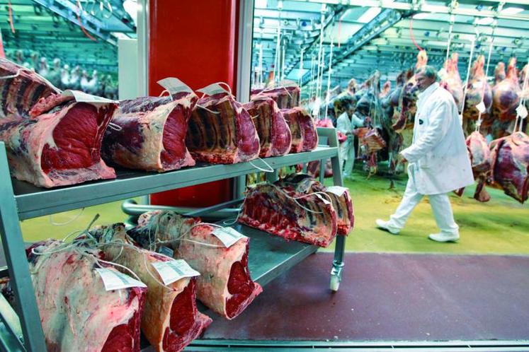 La demande en viande bovine s’inscrit désormais dans une tendance à la baisse en Europe occidentale.
