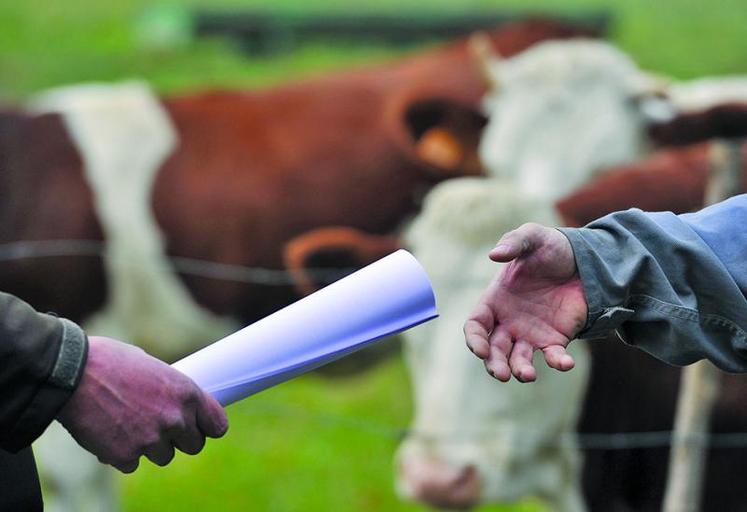 Dans le cadre d’un bail rural copreneurs, la loi d’avenir impose désormais un devoir d’information au bailleur en cas de départ de l’un des preneurs.