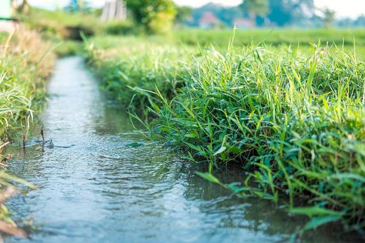 Dans la Somme, l’eau n’est pas une ressource rare, mais il faut la préserver.