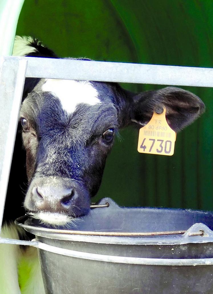 Le renouvellement représente un coût important, mais il faut le considérer comme un investissement.