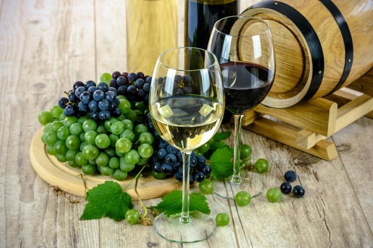 Les sénateurs ont notamment adopté un amendement visant à exclure du champ de la réforme de la contractualisation le secteur des vins et eaux-de-vie.